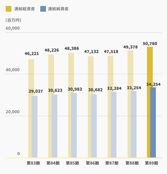 Consolidated Total Assets / Consolidated Net Assets